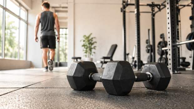 Миф о мышечной памяти: что происходит после паузы в тренировках