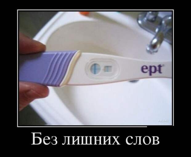 Демотиваторы  демотиваторы, прикол, смех, юмор