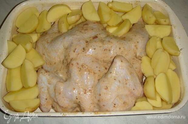 Картофель чистим, нарезаем дольками, солим и выкладываем вокруг курицы.