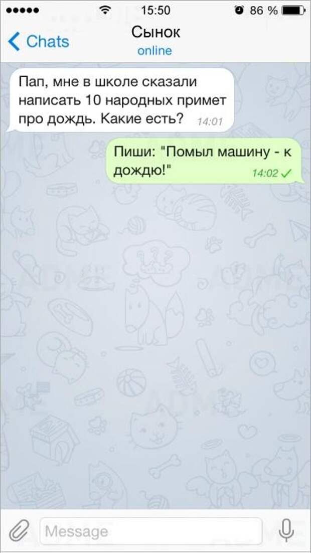 15 СМС от людей с бесценным жизненным опытом смс, юмор