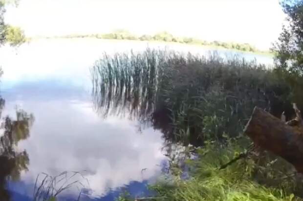 Водоем для отдыха в Никифоровском округе превратили в свалку