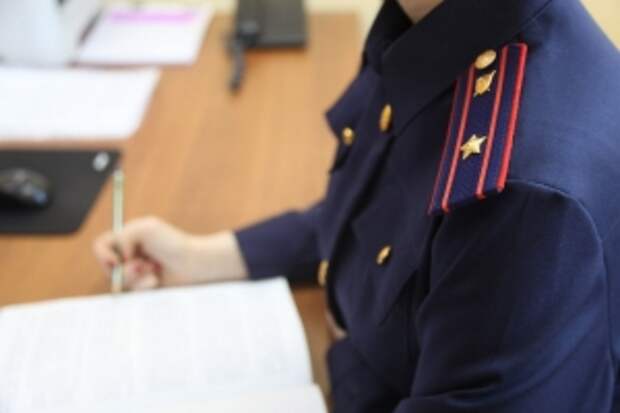 В Оренбургской области возбуждены уголовные дела по факту нападения на воспитателя детского сада в Бугуруслане