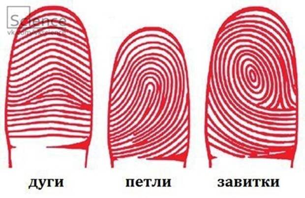 409180_376641702418862_954670852_n