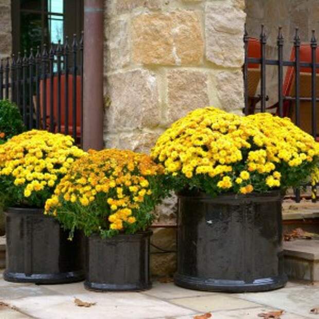 creative-use-large-pots-and-containers-in-garden21-2