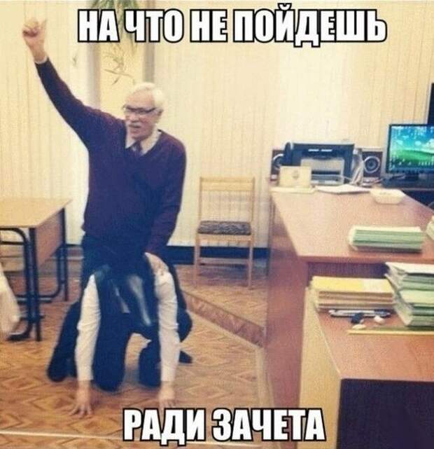 Смешные картинки с подписями катинки, прикол, юмор