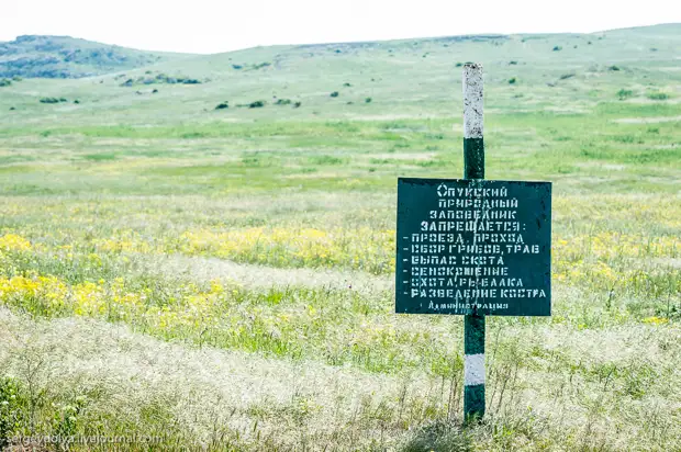 Опукский заповедник май