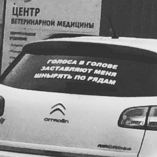 автоприколы