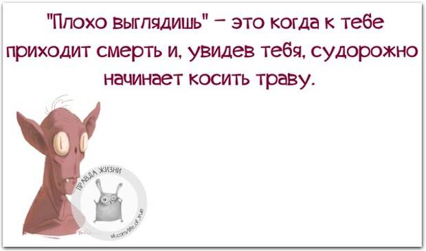 Молодожёны! Прежде чем бежать в ЗАГС, поклейте вместе обои (картинки с позитивными фразочками)
