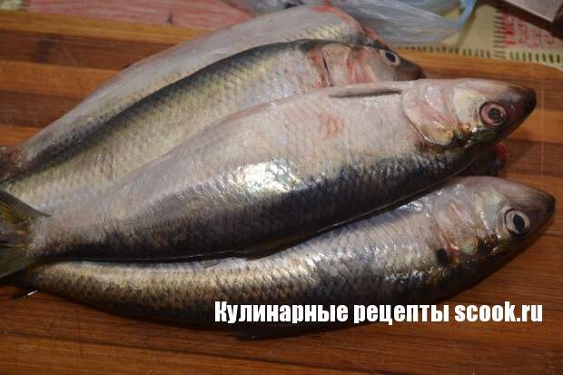 Жареная селедка без масла