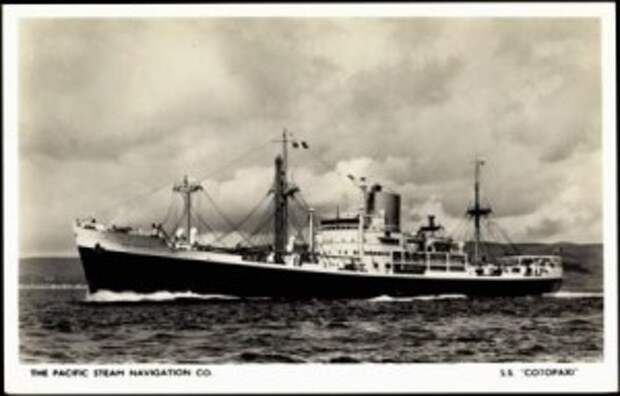 In the Bermuda Triangle emerged ship disappeared 90 years ago 1.jpg