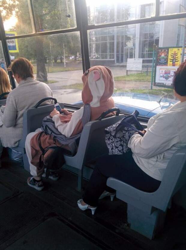 Фото приколы, что бы улыбаться чаще.