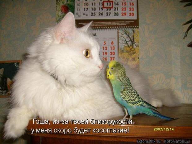Мысли вслух :)
