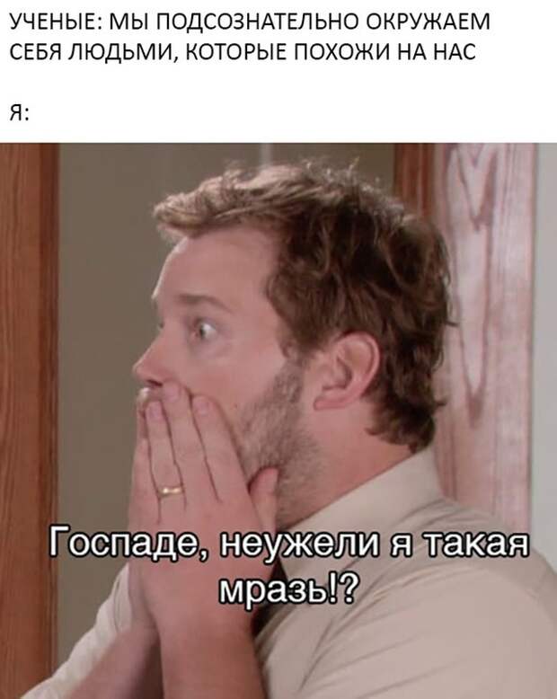 Смешные фото вечер 15 декабря 2020