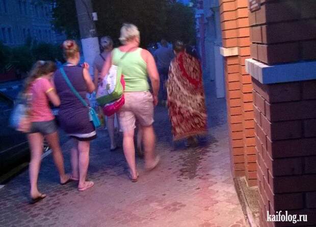 Приколы про ковры (45 фото)