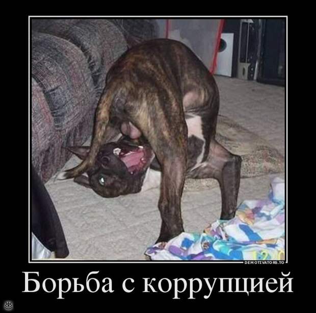 Будьте настойчивы! 9