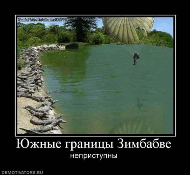 Картинки прикольные демотиваторы.