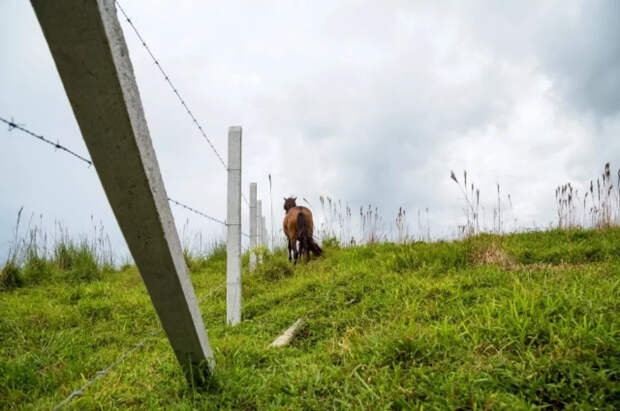 Адвокат Морозова предупредила о подводных камнях при приобретении дачи