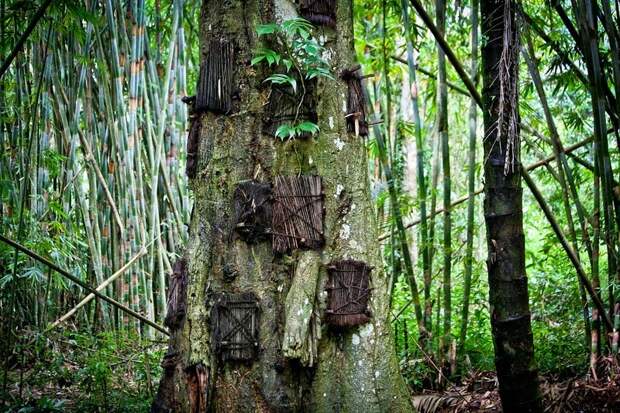 tana-toraja-burials-6[6]