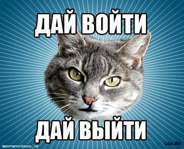 Ну кто ее знает. Мур мяу картинки
