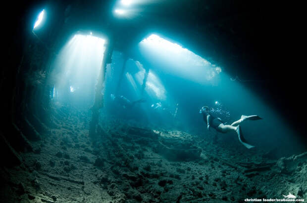 Дыхание исследователей.  животные, подводная съемка, рыбы, фото