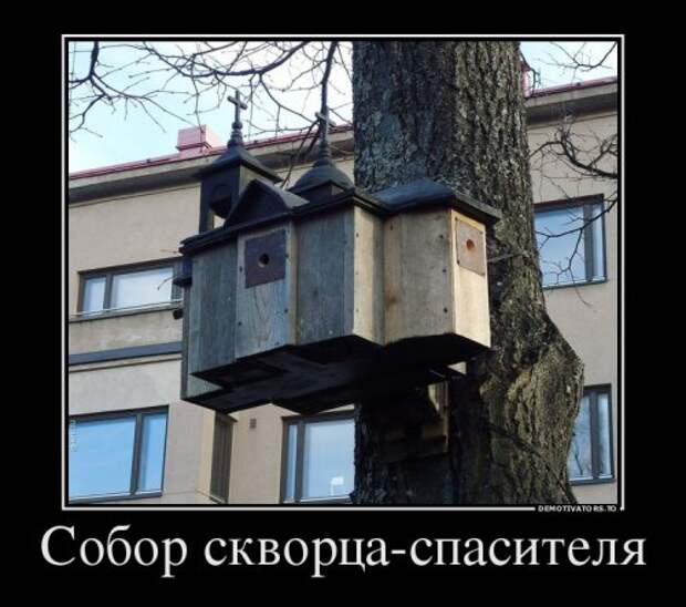 Свежие демотиваторы (17 шт)