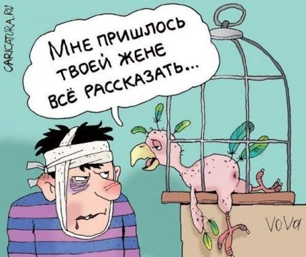 Карикатурки юмора