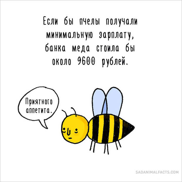 печальные факты о животных 