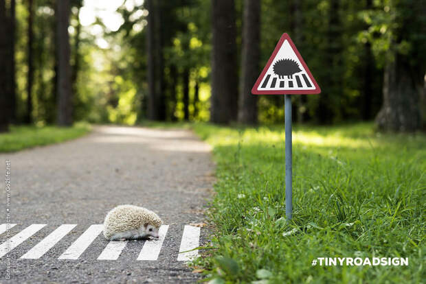 Крошечные дорожные знаки для животных