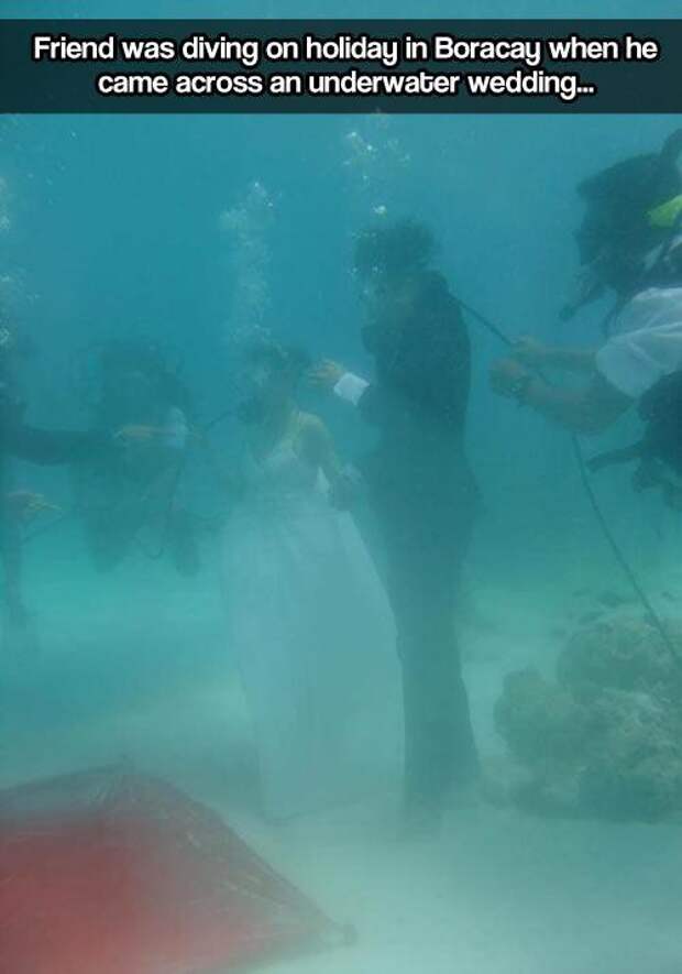 1. Дайвер случайно попал на чью-то подводную свадьбу у острова Борокай  ситуация, факт, фотография