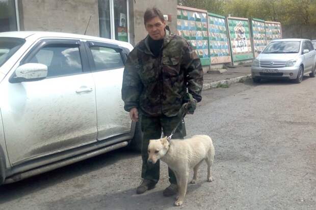 Собаку с капканом на челюсти неделю никто не мог поймать Собаку с капканом на челюсти неделю никто не мог поймать история, капкан, приют, собака