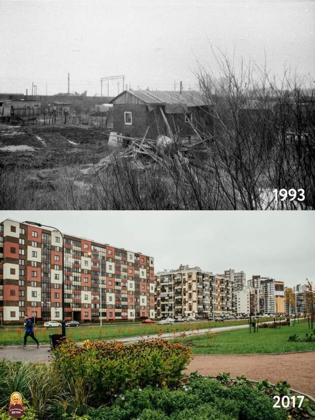 И снова город на Неве города, жизнь, интересное, красота, меняется, фотопроект