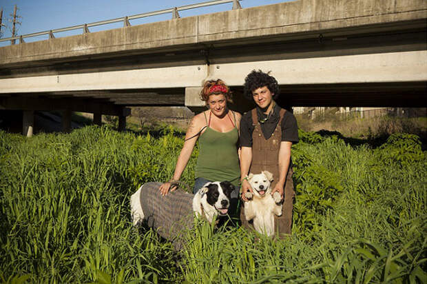 Без дома, но с другом