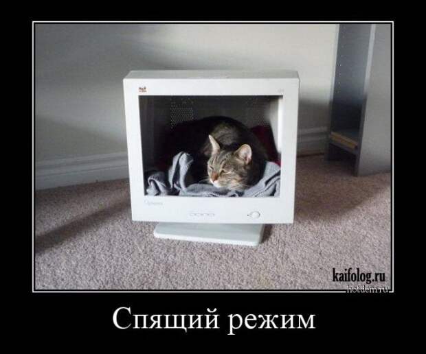 Черноватый юмор в подборочке демотиваторов