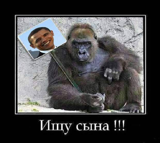 Картинки про Украину 8