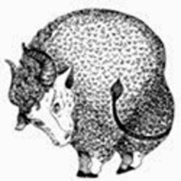 clip_image003