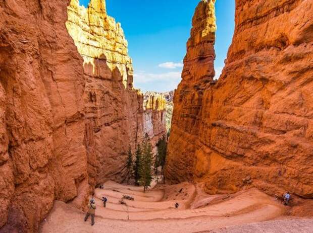 Лучшие фотографии января по версии National Geographic (15 фото) Лучшие фотографии января по версии National Geographic (15 фото)