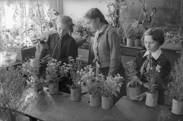 Девочки ухаживают за цветам Сергей Васин, 1946 год, МАММ/МДФ.