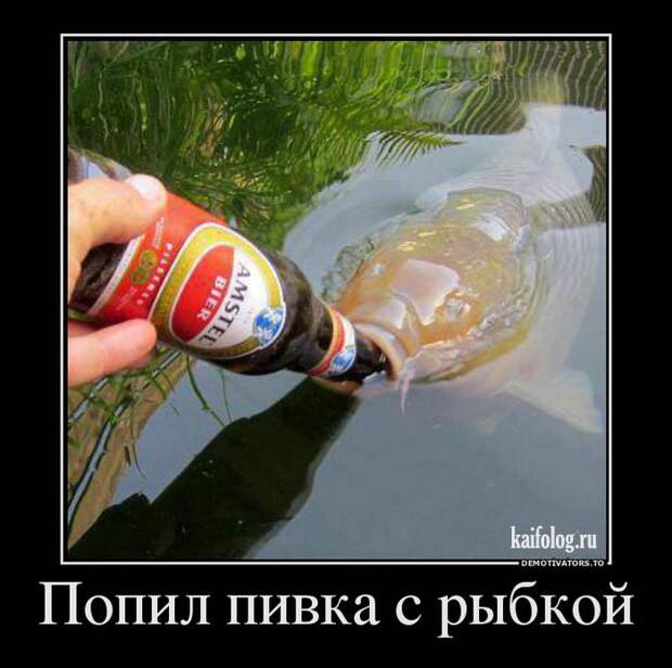 Демотиваторы про пиво (60 штук)