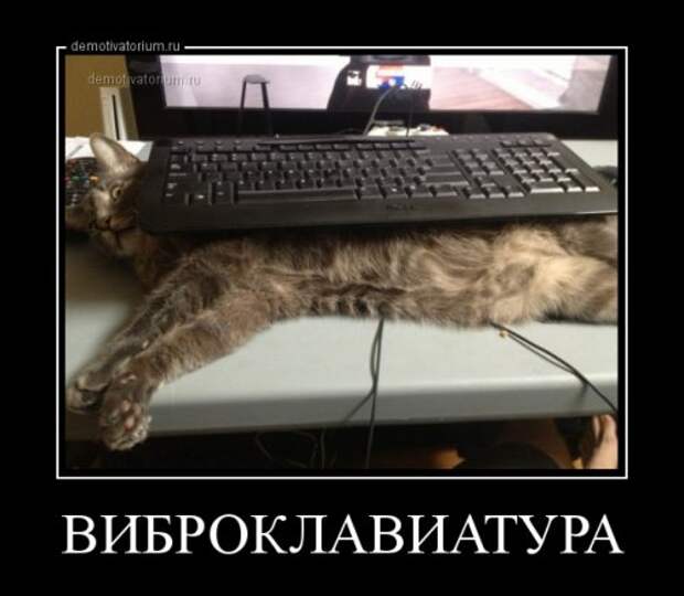 Новые демотиваторы-приколы (14 шт)