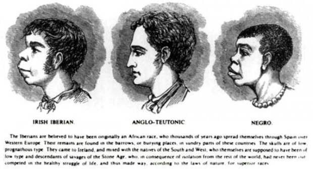 scientific_racism_irish