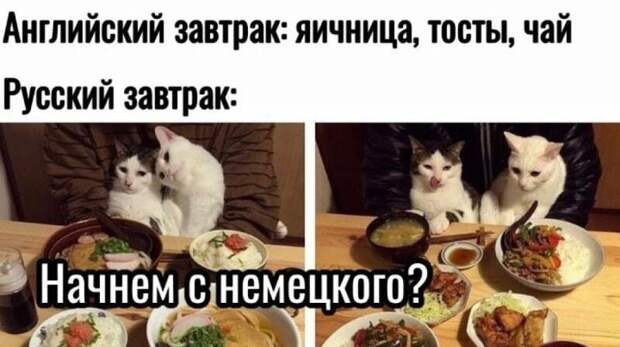 Лучшие, главные и самые смешные мемы — март 2026 года