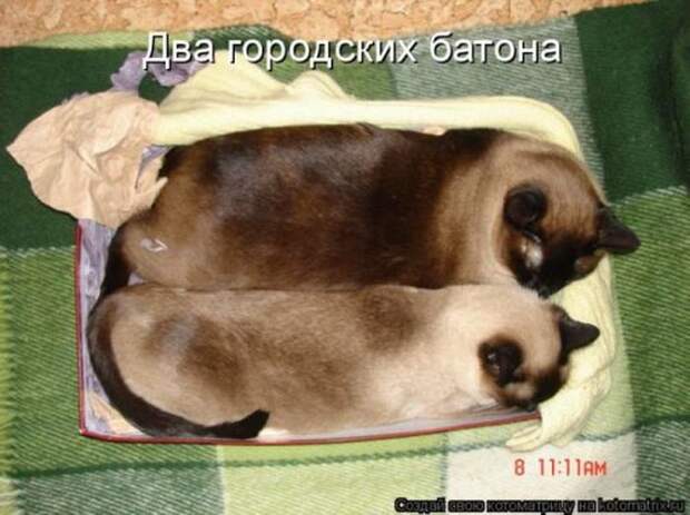 Мысли вслух :)