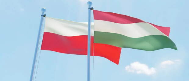 В Европейском союзе намерены заставить Венгрию пересмотреть принятый в стране закон о запрете ЛГБТ-пропганды...