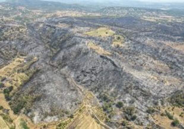 Ответственность за поджоги лесов в Турции взяла связанная с РПК организация