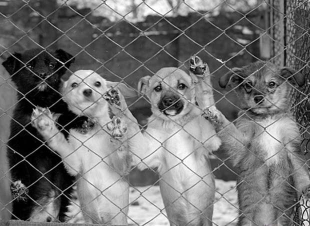 1371459326_tpuv5z2v88q