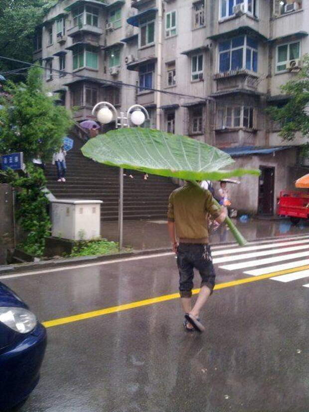 Фотоприколы кучей