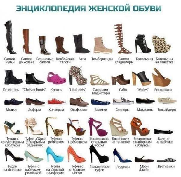 Картинки, юмор, приколы
