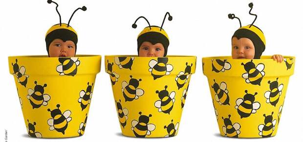 little-bee-babies-243602