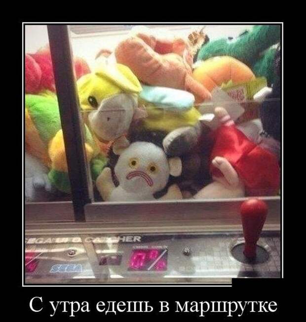 Демотиваторы (30 фото)