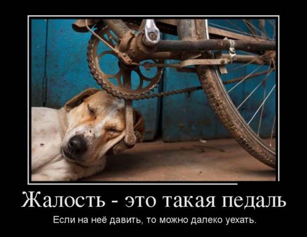 Демотиваторы (30 фото) Демотиваторы (30 фото)